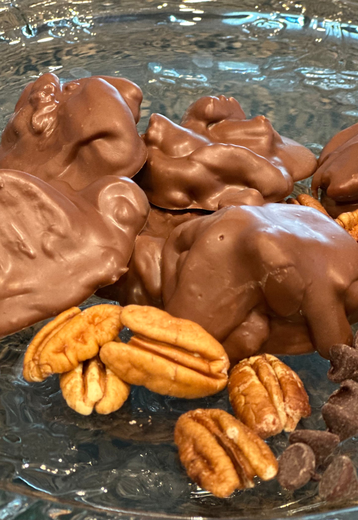 Chocolate Pecan Candies 8oz.